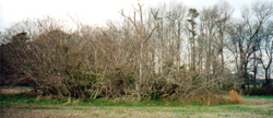 View of Groton Cemetary before restoration.