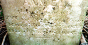 Annie L
daughter of 
T.R. & Maria Kellam.  
Born July 23, 1852 
Died March 16, 1876