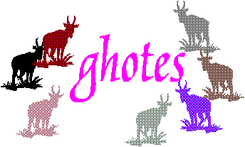header graphic